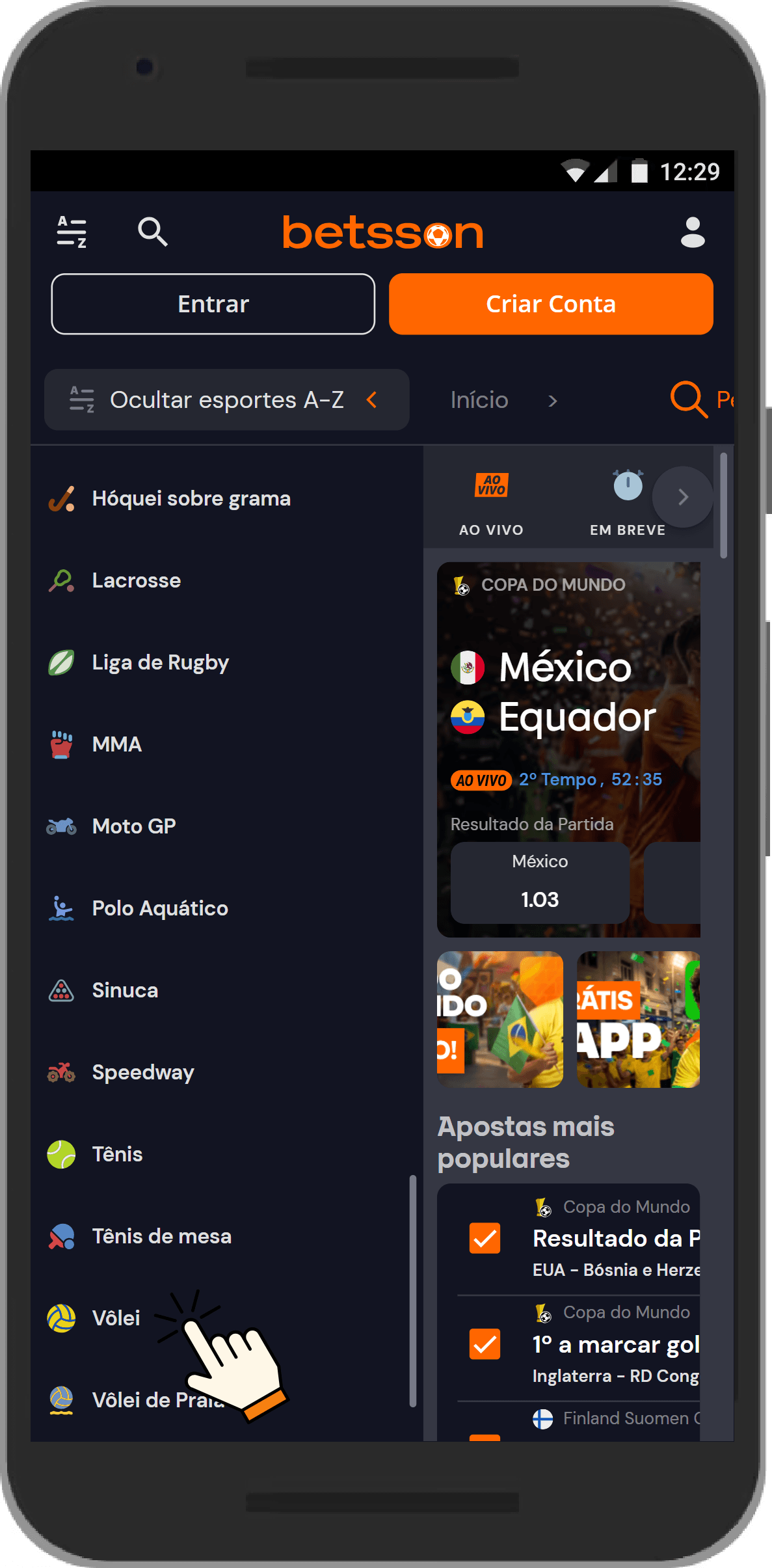 Volei